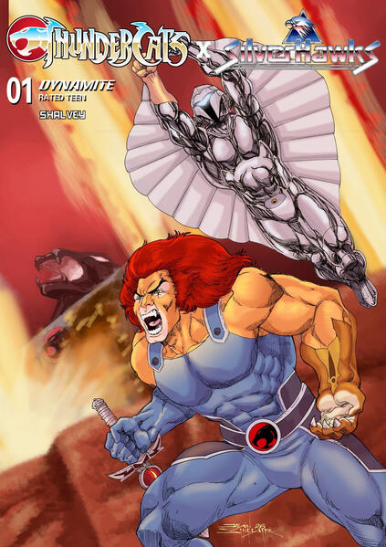 Thundercats / Silverhawks